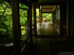 kyoto1-0042.jpg