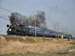 CSC_0764.JPG
