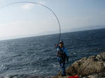 PB100026.jpg