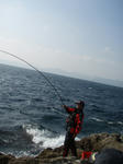 PB100048.jpg