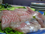 IMG_10490001.JPG