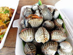 DSCN0909.jpg