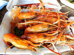 DSCN0910.jpg