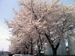 IMG_1203.jpg