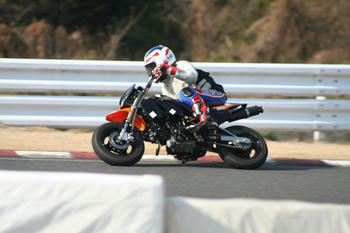 IMG_4434-a-b.jpg