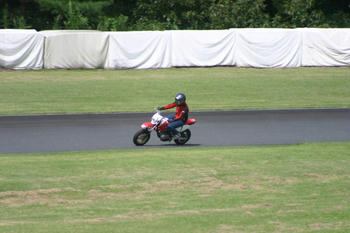 IMG_7257-b.jpg