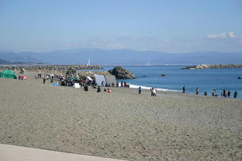 IMG_8555-b.jpg