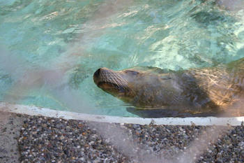 IMG_8592-b.jpg
