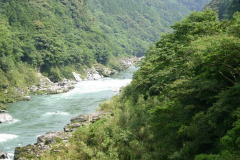 IMG_9253b.jpg