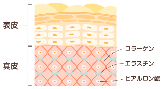 「美肌を保つ栄養素！コラーゲンの効果とは？」