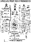 emblematic structure of freemasonry
