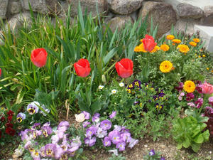 DSC00575.JPG
