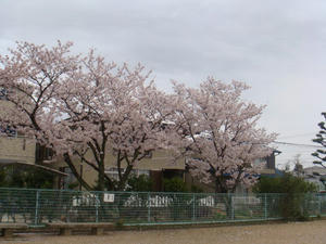 DSC00611.JPG