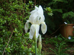DSC00618.JPG