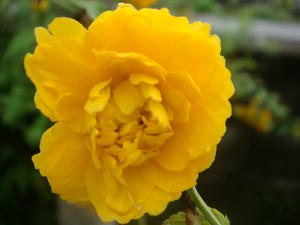 DSC00622.JPG