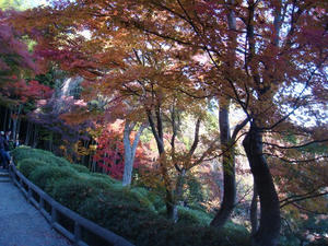 DSC03134.JPG
