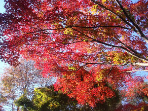 DSC03131.JPG