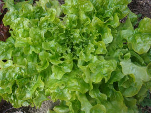 DSC03351.JPG