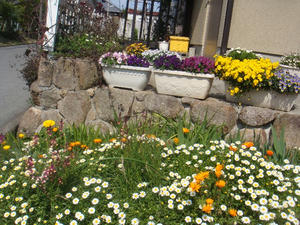 DSC04171.JPG