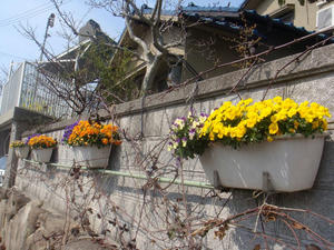 DSC04168.JPG