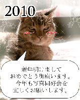 IMG_3235.gif