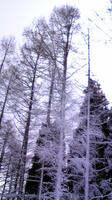 DVC00069.JPG