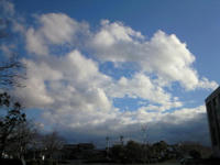 201003261644000.jpg