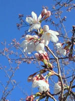 201003261635000.jpg