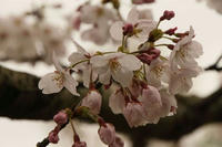 IMG_9088_R_R_R.jpg