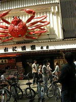DSCN6639.JPG