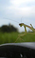 100624_1821_0001.jpg