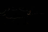 DSC00974.jpg