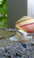 100709_1737_0001.jpg