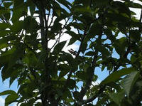 DSCN5975.JPG