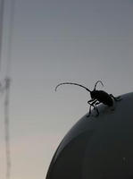 DSCN6013.JPG