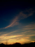 282e95a7.JPG