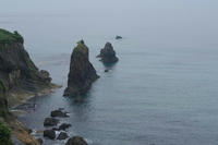 c0318e98.jpg