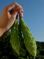 2e10a43f.jpg