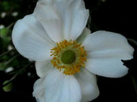 9f01423c.jpg