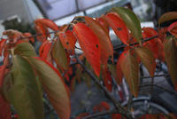 1305b824.jpg