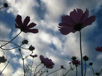 f5773740.jpg