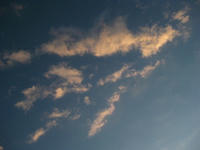 1221c383.jpg
