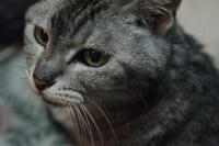 f7125f84.jpg