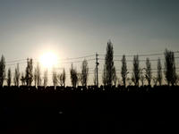 6c987286.jpg