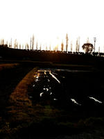 04247fe5.jpg