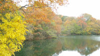 DVC00056.JPG