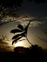 7897a5c6.jpg