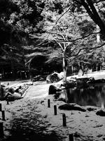 _1060082.JPG