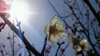 2011031813080002.jpg