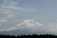 IMG_1826_blog.jpg